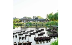 2026娄底夏季团建新篇：贝塔团建以‘长安的荔枝’解锁国风团建新体验
